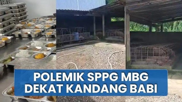 GEGER! Dapur Makan Bergizi Gratis Dibangun ‘Melekat’ Kandang Babi, Pemilik Ngaku Tak Pernah Diberi Tahu