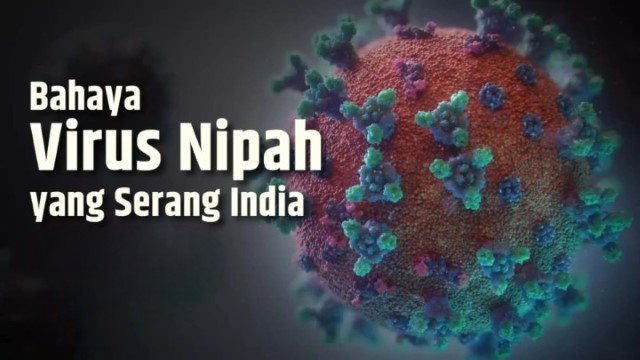 Waspada! Eks Direktur WHO Minta Indonesia Serius Cegah Masuknya Virus Nipah dari India