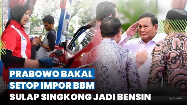 HEBOH! Prabowo Klaim Singkong Bisa Jadi BBM, Indonesia Siap Mandiri Energi 3 Tahun Lagi
